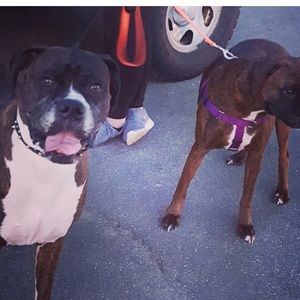 Meet your Posher, Briana